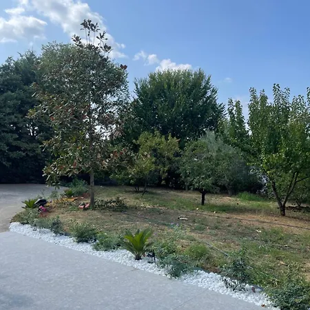 Tirana Sunny Bliss 2
